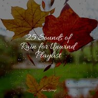 Late Night Rains - Rain Recorders & Academia de Meditação Buddha & Sleeping Music