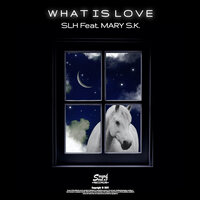 What Is Love - Mary S.K. & SLH