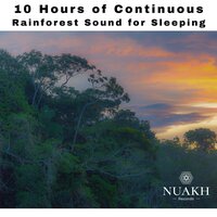 Rainforest Sounds for Sleeping, Pt. 31 (Continuous No Gaps) - White Noise Radiance & Nature Sounds for Sleep