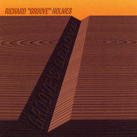 Good Vibrations - Richard Holmes
