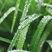 The Rhythm of Life - Meditation Music Club & Pink Noise & Sounds of Nature White Noise for Mindfulness Meditation and Relaxation
