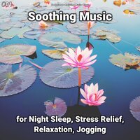 Soothing Music, Pt. 40 - Deep Sleep & Relaxing music & Yoga