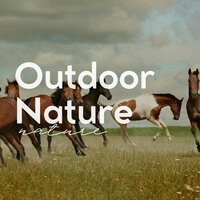 Rain And Piano Music For Sleep - Baltic Nature Sounds