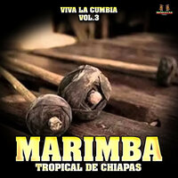 Si Me Dejas Ahora - Marimba Tropical De Chiapas