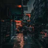 Night Rain - violini5t & Shiloh Dynasty