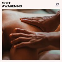 Tranquil Spa Melodies - Pure Massage Music & Massage Music Masters & Ambient Music Collective & Calm Spa Therapy