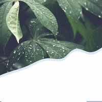 Trio Jazz Soundtrack for Mental Exercises - Rainy Day Jazz