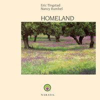 Immigrant - Eric Tingstad & Nancy Rumbel