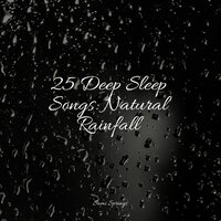 Rain Collection - Relaxing Nature Ambience & Calming Rainforest Sounds & A Sudden Rainstorm