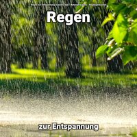 Hübsche Wirkung - Regen zur Entspannung Susanna Igel & Naturgeräusche & Regengeräusche