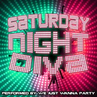 It's Like That - We Just Wanna Party