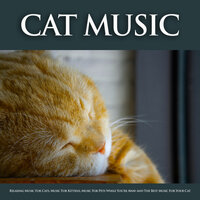 Peaceful Music - Music For Cats & Cat Music & Music For Pets