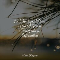 Noche Pacífica - meditación Interna & Meditacion & Relajante