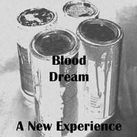 A New Experience - Blood Dream