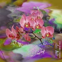 婚前性行为是情网 - Howie Lee & Bloodz Boi & 张学友 & 3Bangz & 狠毒男孩
