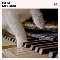 Dia Perfeito - Música Para Cachorro & Música Relaxante para Cachorros & Música Calmante para Animais & Música de Fundo para Cães