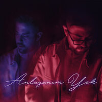 Anlayanım Yok - Ferdi