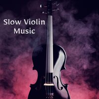 A Model of the Universe - Violin Music & Violins