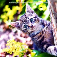 Впечатление (Кошки) - Музыка для кошек