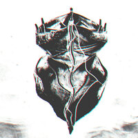 From Euphoria to Discouragement - Wolfy