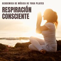 Música de Relajación para Yoga - Academica de Música de Yoga Pilates
