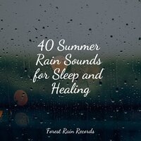Easy Ocean Waves - Deep Sleep Music Experience & Meditation Zen & Ambient Music Therpy