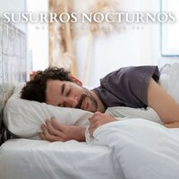 Música Ambiental - Musica para Dormir 101