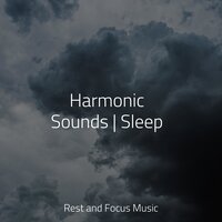 Soft Calming Music - Sleep Sound Library & Reiki Tribe & Massage Music