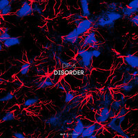 Disorder - DP-6