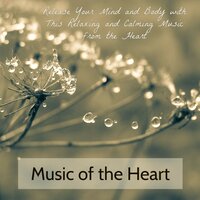 Soothing Sounds - Meditation Relax Club