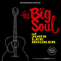 You've Taken My Woman - John Lee Hooker