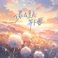 像在夏天等下雪 - 一只白羊 & AH