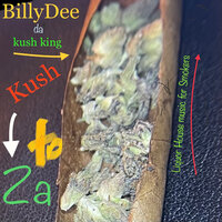 Fresh 2 Def - BillyDee da Kush King & Boosie & C Roc