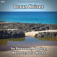 Ocean Noises Part 31 - shoreline sounds & Nature Sounds & Ocean Sounds