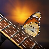 Cuerdas Melódicas Relajantes - Musica Relajante de Guitarra Momentos & Paz Lunar & Relajación Profunda