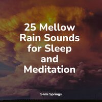 Ocean Waves and Seagulls - Sleep Sounds Of Nature & Relaxing Nature Music & Ambient Music Therapy