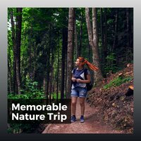Music to Leave Your Dog Home Alone in Peace, Pt. 20 - Nature Sounds Nature Music