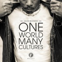 One World Many Cultures - David Boomah