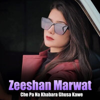 Qiso Ta Me Zra Kegi - Zeeshan Marwat