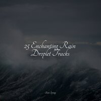 Late Night Rains - Sleep Tight & Binaural Beats Isochronic Tones Lab & The Relaxing Sounds of Water