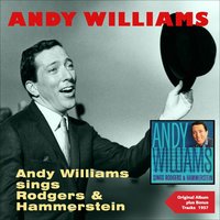 Some Enchanted Evening - Andy Williams & Orchestra Alvy West
