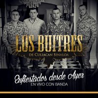 Sigue la Parranda - Los Buitres De Culiacán Sinaloa