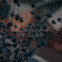 Rain, Urban, Lightning, Concrete - Nature Soundscape & Sleep Sound Library & Lullaby Rain