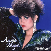 Wildcat - Amanda Miguel