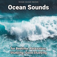 Magical Effect - Nature Sounds & Ocean Sounds & Wave Sounds
