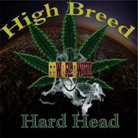 For My Niggas - Hard Head & Winsday & J.E.