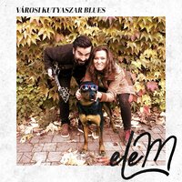 Városi kutyaszar blues - ELEM