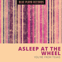 Ain't Misbehavin' - Asleep At The Wheel