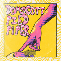 Pied Piper - Domscott