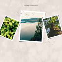 Playful Jazz Saxophone - Vibe for Recharging Moods - Coffee Table Jazz Radio